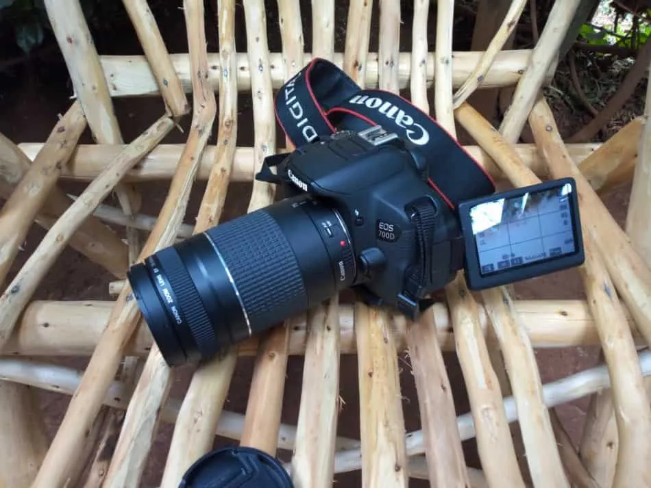 Canon 700D (Rebel T5i) DSLR camera — a recommended beginner safari camera