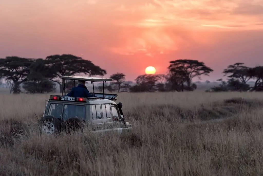 Safari vehicles in Kenya's national parks showing the country's mature tourism infrastructure