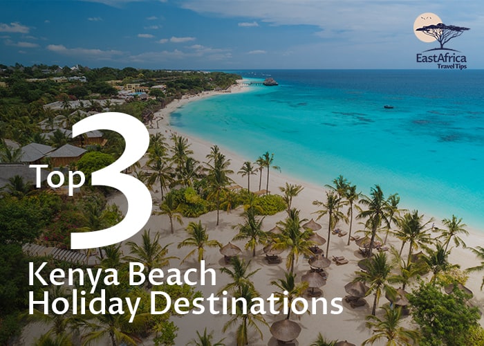 Top 3 Kenya Safari Beach Holiday Destinations And Pros And Cons Of Each