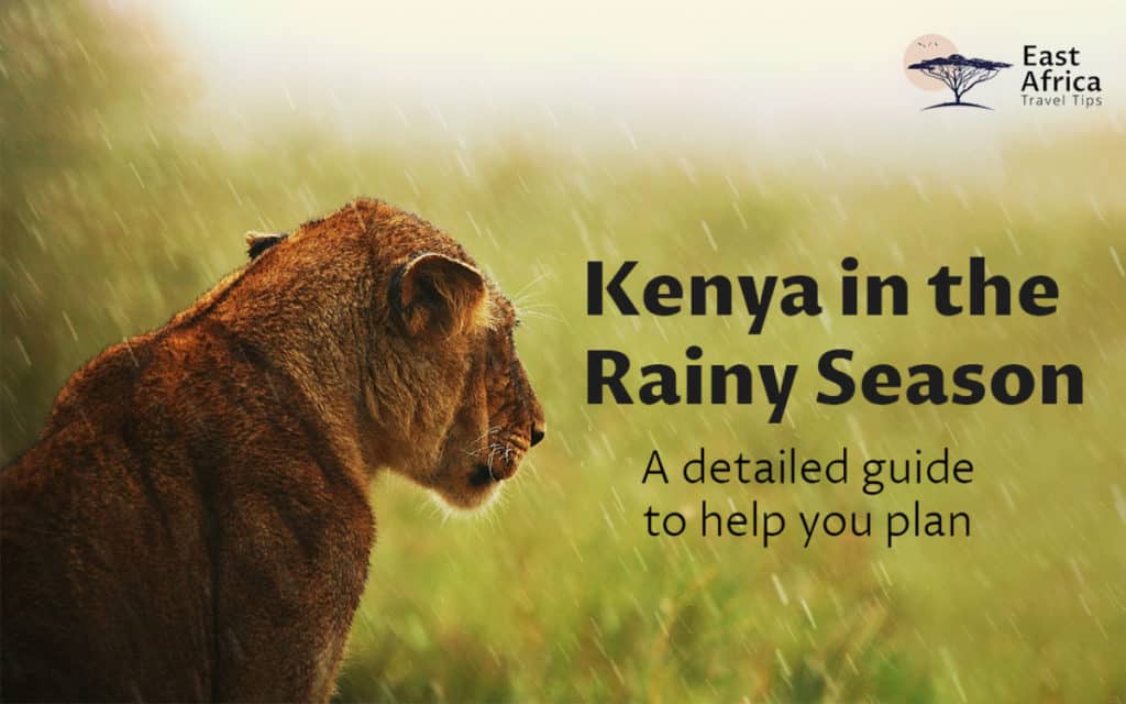 The Rainy Season in Kenya Detailed Guide for Tourists