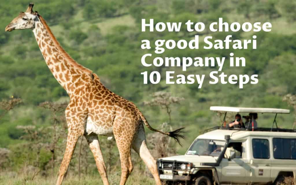 safari good company