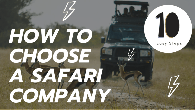wb safari company