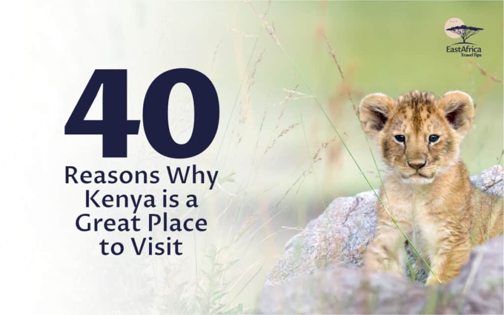 why should you visit kenya